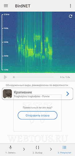 Как распознать птицу по голосу или фото? Бесплатные онлайн определители