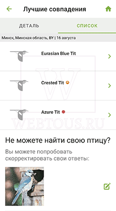 Как распознать птицу по голосу или фото? Бесплатные онлайн определители