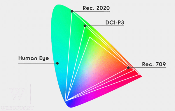 Просто и понятно про QLED и OLED: какой телевизор лучше?